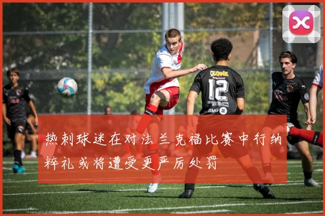 热刺球迷在对法兰克福比赛中行纳粹礼或将遭受更严厉处罚